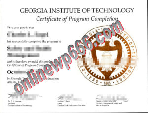Georgia Institute of Technology degree
