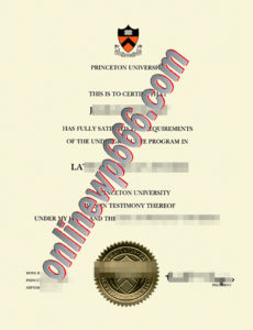 fake Princeton University degree