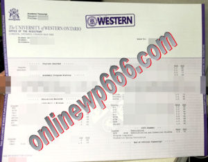 buy University of Western Ontario transcript
