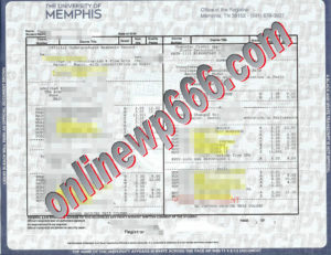 buy University of Missouri transcript
