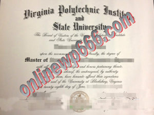 Virginia Polytechnic Institute and State University degree