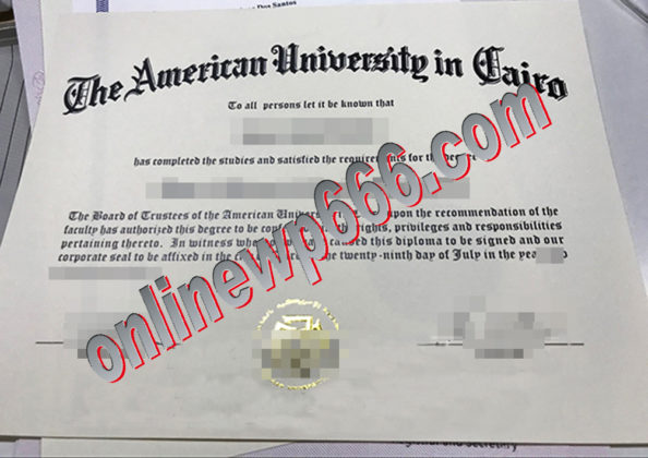 buy American University in Cairo degree