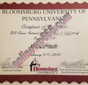 Bloomsburg University of Pennsylvania degree