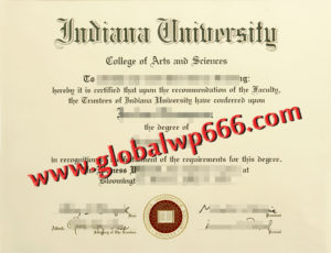 buy IUB diploma