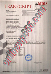 Management Development Institute of Singapore transcript