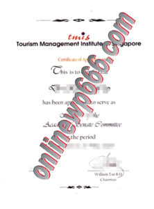 buy Tourism Management Institute of Singapore degree