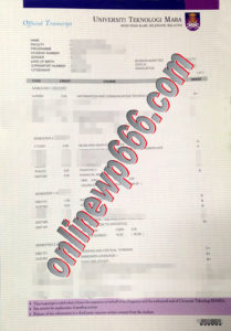 buy Universiti Teknologi MARA transcript
