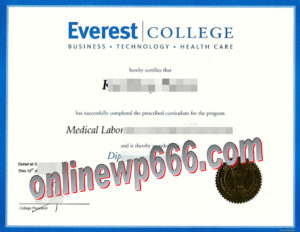fake Everest College certificate