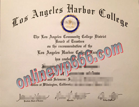 fake LAHC diploma
