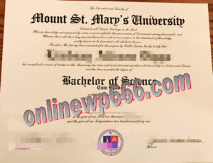 Mount St. Mary’s University degree