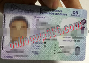 fake Ontario Canada driving license