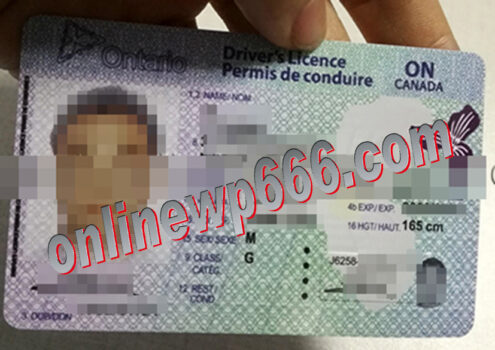 how to make a fake canadian international driving license
