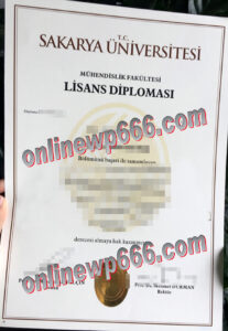 Sakarya University degree certificate