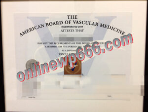fake The American Board of Vascular Medicine certificate